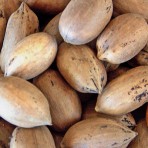 Bulk Whole Pecans