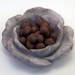 Chocolate Double Dipped Peanuts